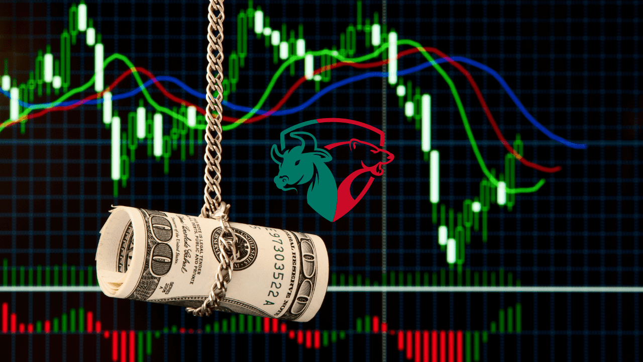Trading Fees 101