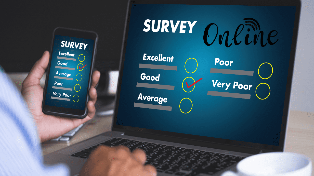 Online Surveys